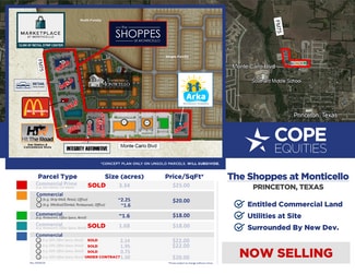 Princeton, TX Retail - NEQ FM 75 & Monte Carlo blvd