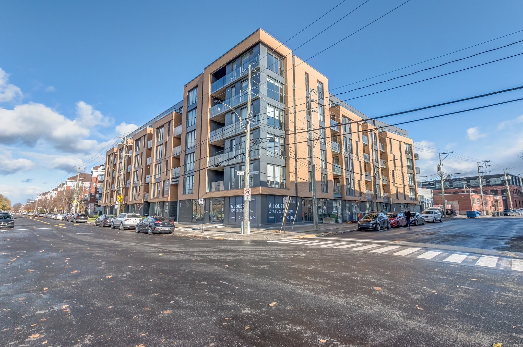 250 Rue Gary-Carter, Montréal, QC for Rent