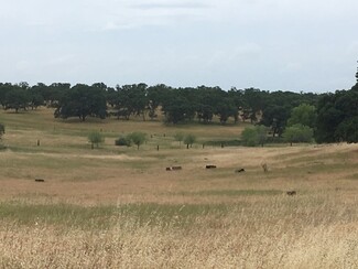 Oroville, CA Agricultural - 0 0 Cox Lane (733 Acres) Ln