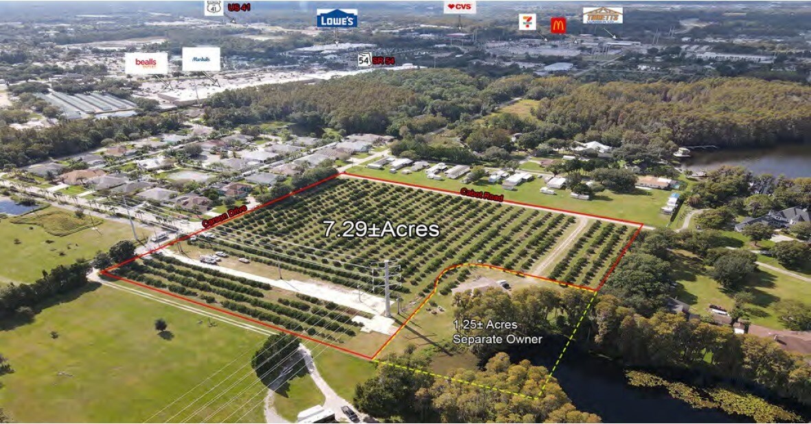 21831 Carson, Land O Lakes, FL for Sale