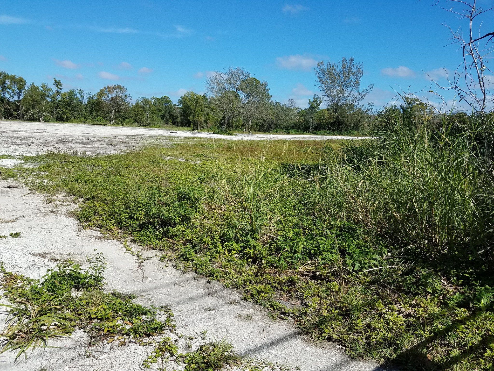 Indiantown Rd, Jupiter, FL for Rent