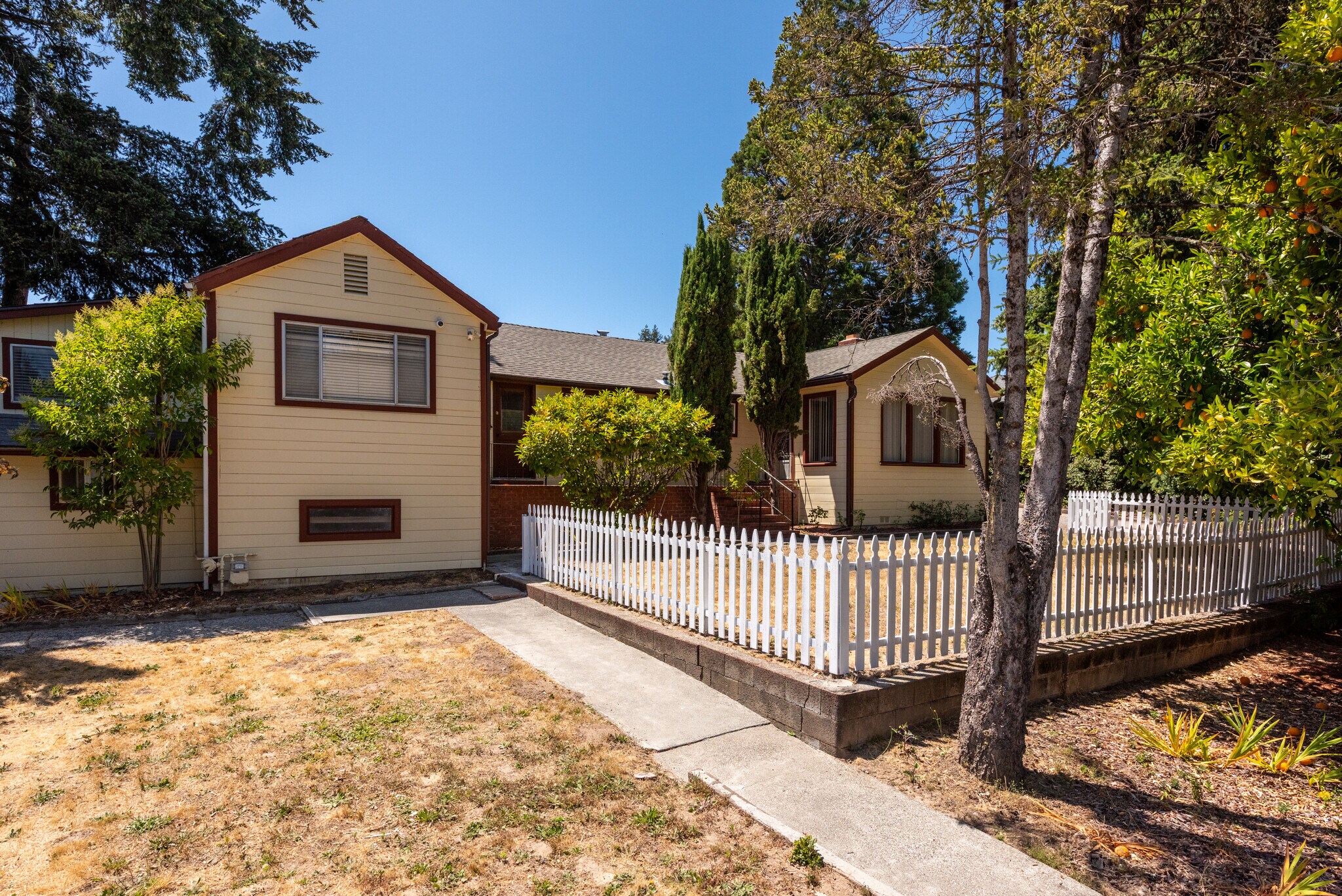 604 Live Oak Ave, Sebastopol, CA for Sale