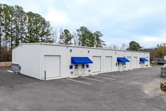 Summerville, SC Flex - 317 Pendarvis Ln