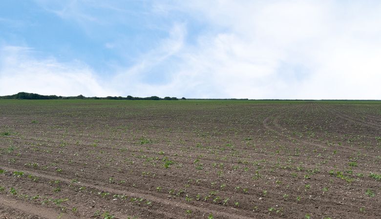CR 48 52.085 AC, Robstown, TX for Sale