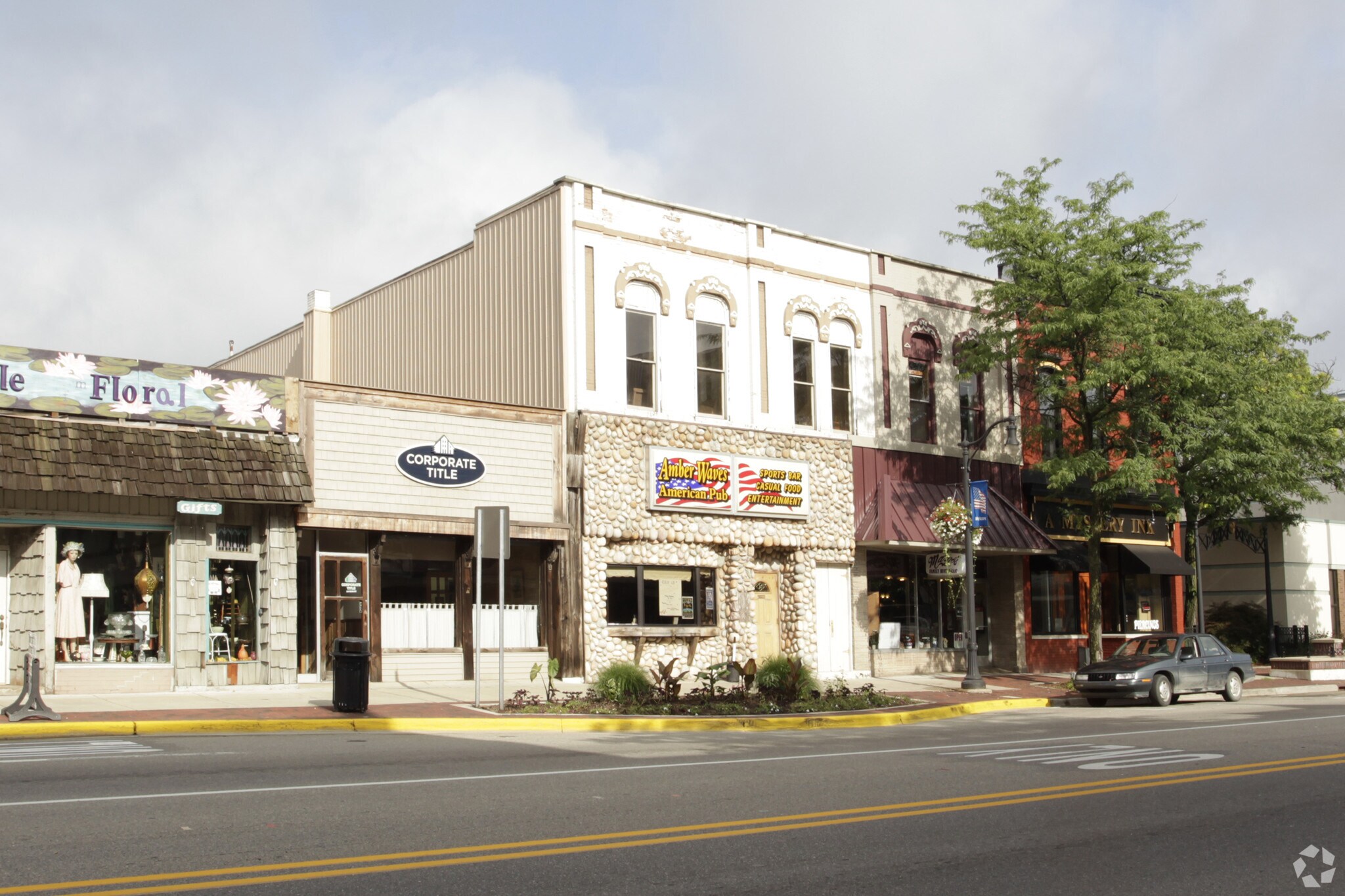 217 S Lafayette St, Greenville, MI for Sale