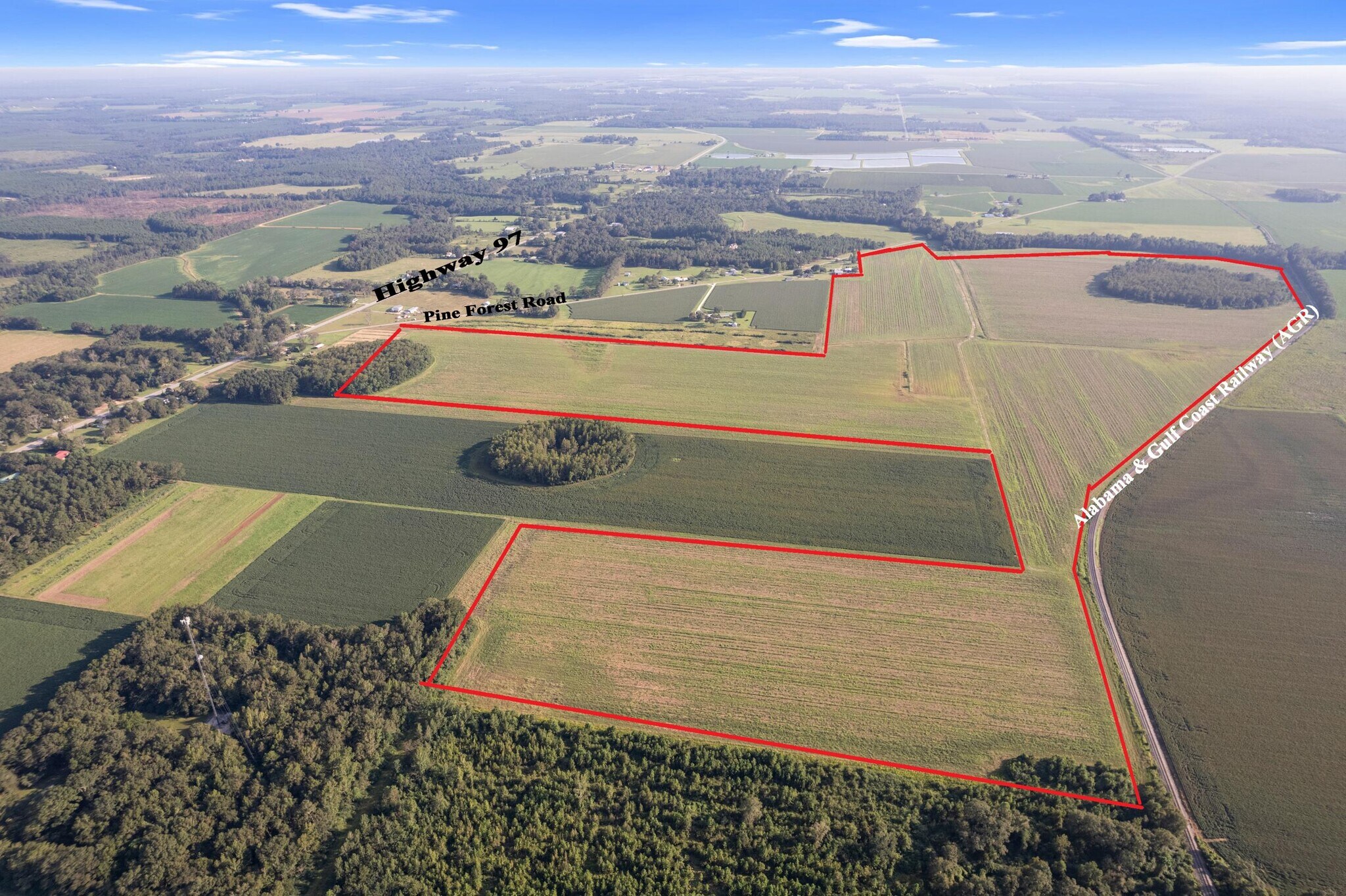 5700 Pine Forest Rd, Walnut Hill, FL for Sale