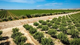 Dunnigan, CA Agricultural - 6470 County Road 99