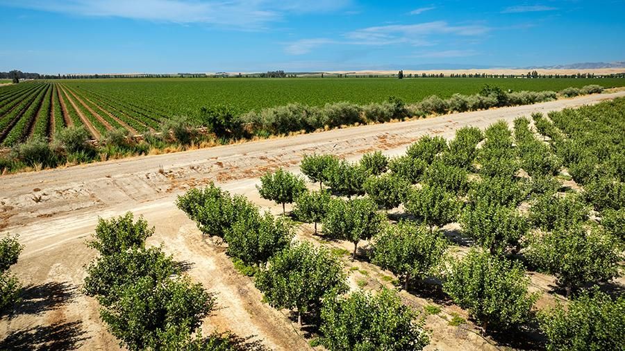 6470 County Road 99, Dunnigan, CA for Sale