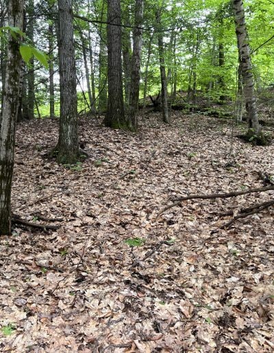 225 Washington Rd, Bradford, NH for Sale