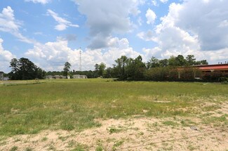Auburn, AL Commercial Land - 2061 S College St