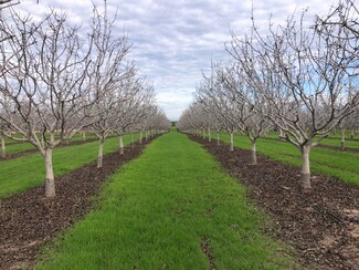 Ducor, CA Agricultural - Road 248 Road 248/Ave 60 Rd