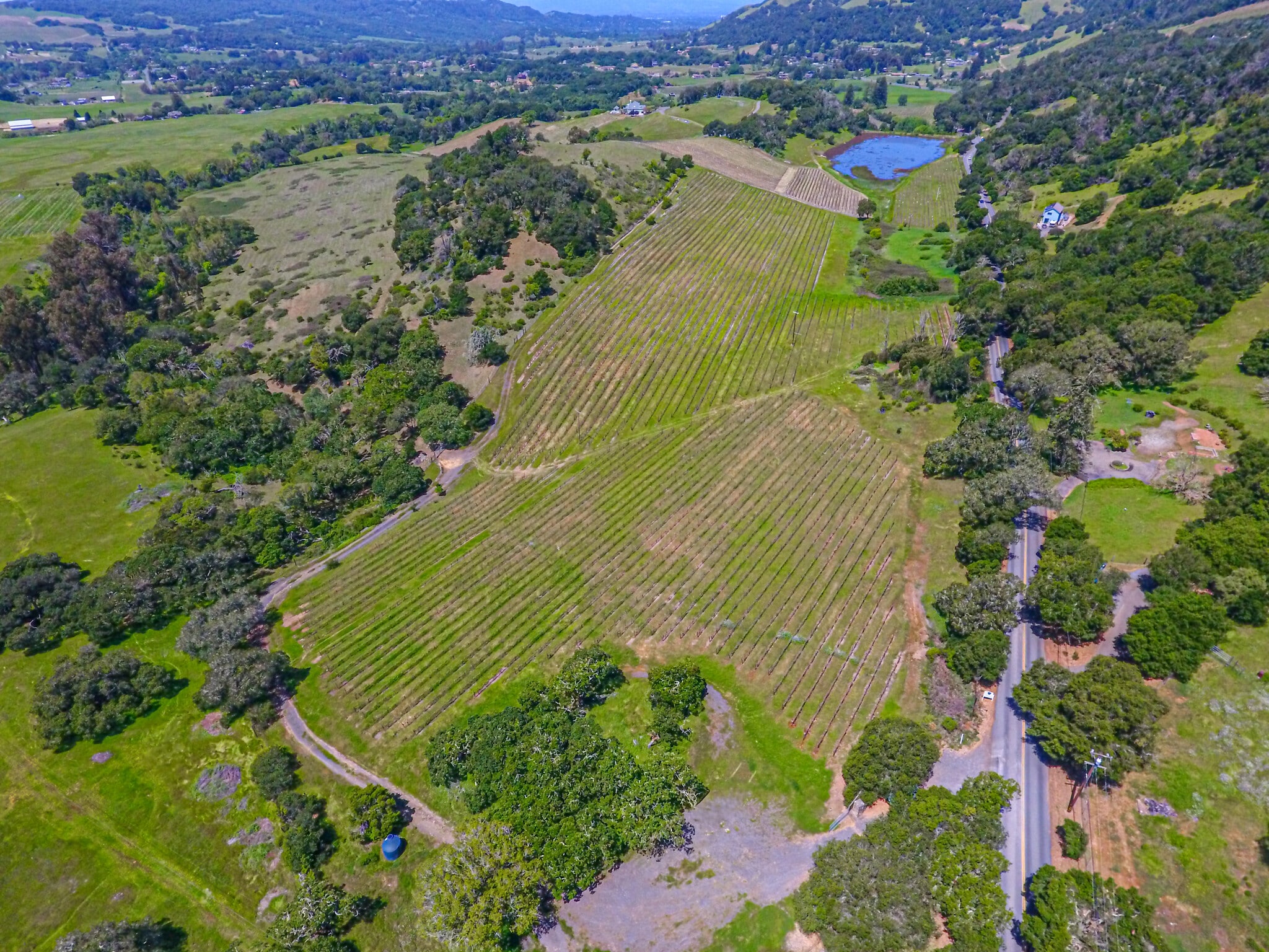 7044 Bennett Valley Rd, Santa Rosa, CA for Sale
