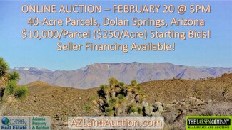 Dolan Springs, AZ Residential Land - XXXXX W 15th Street