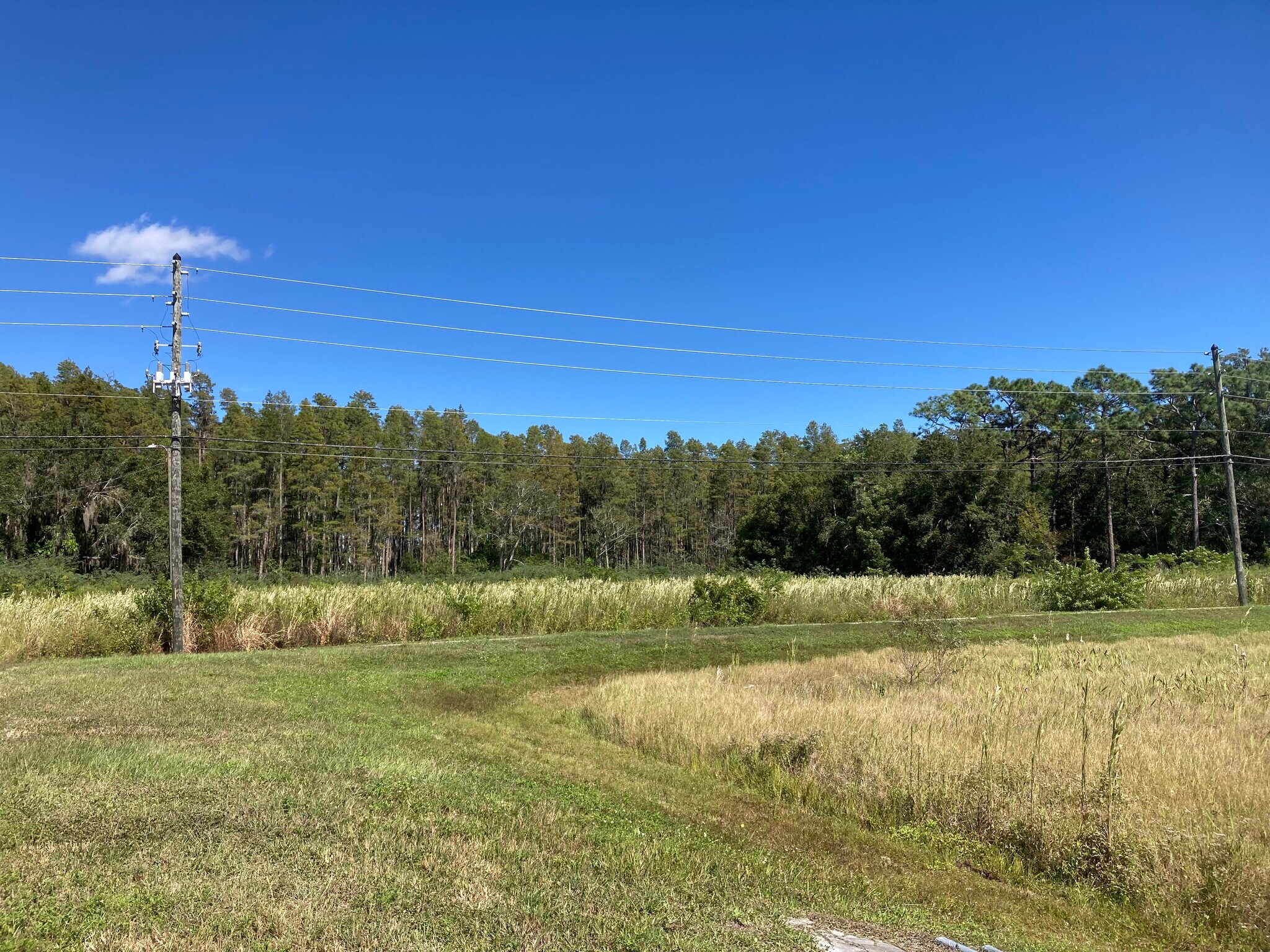 20233 State Road 54, Lutz, FL for Sale