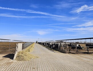 Friona, TX Agricultural - 2686 County Road 23