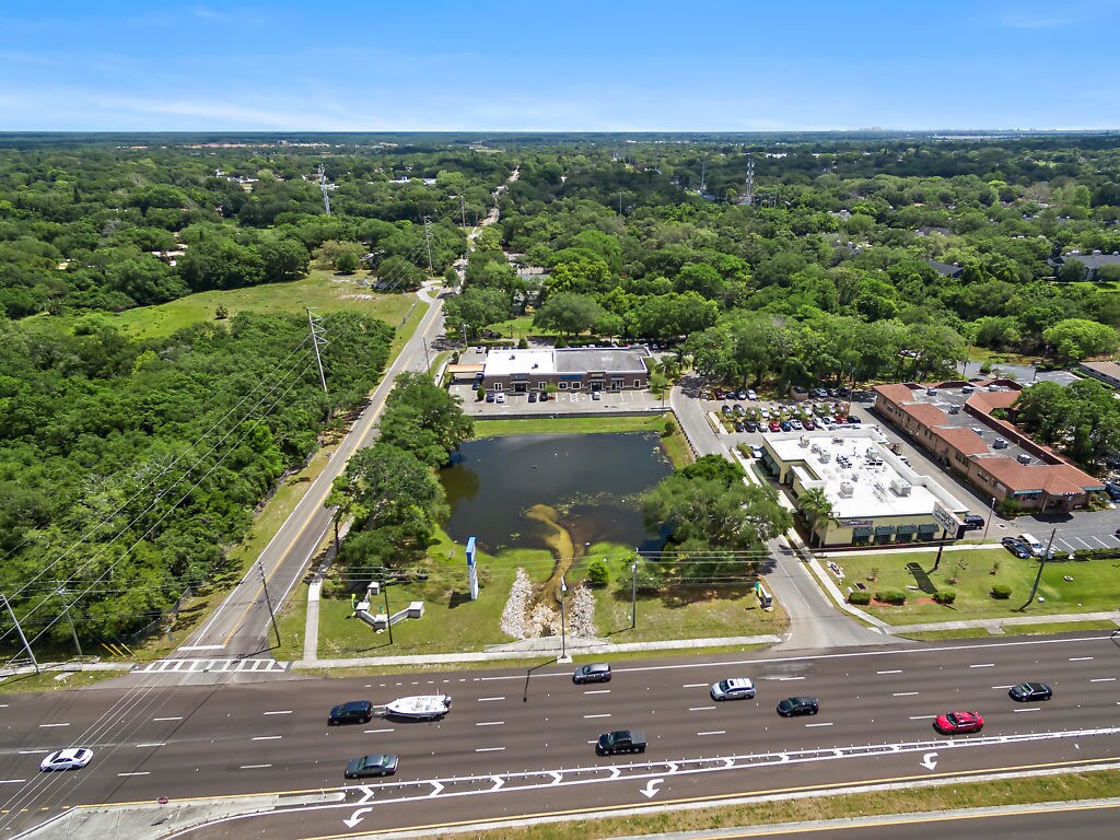 31201 US Highway 19 N, Palm Harbor, FL for Rent
