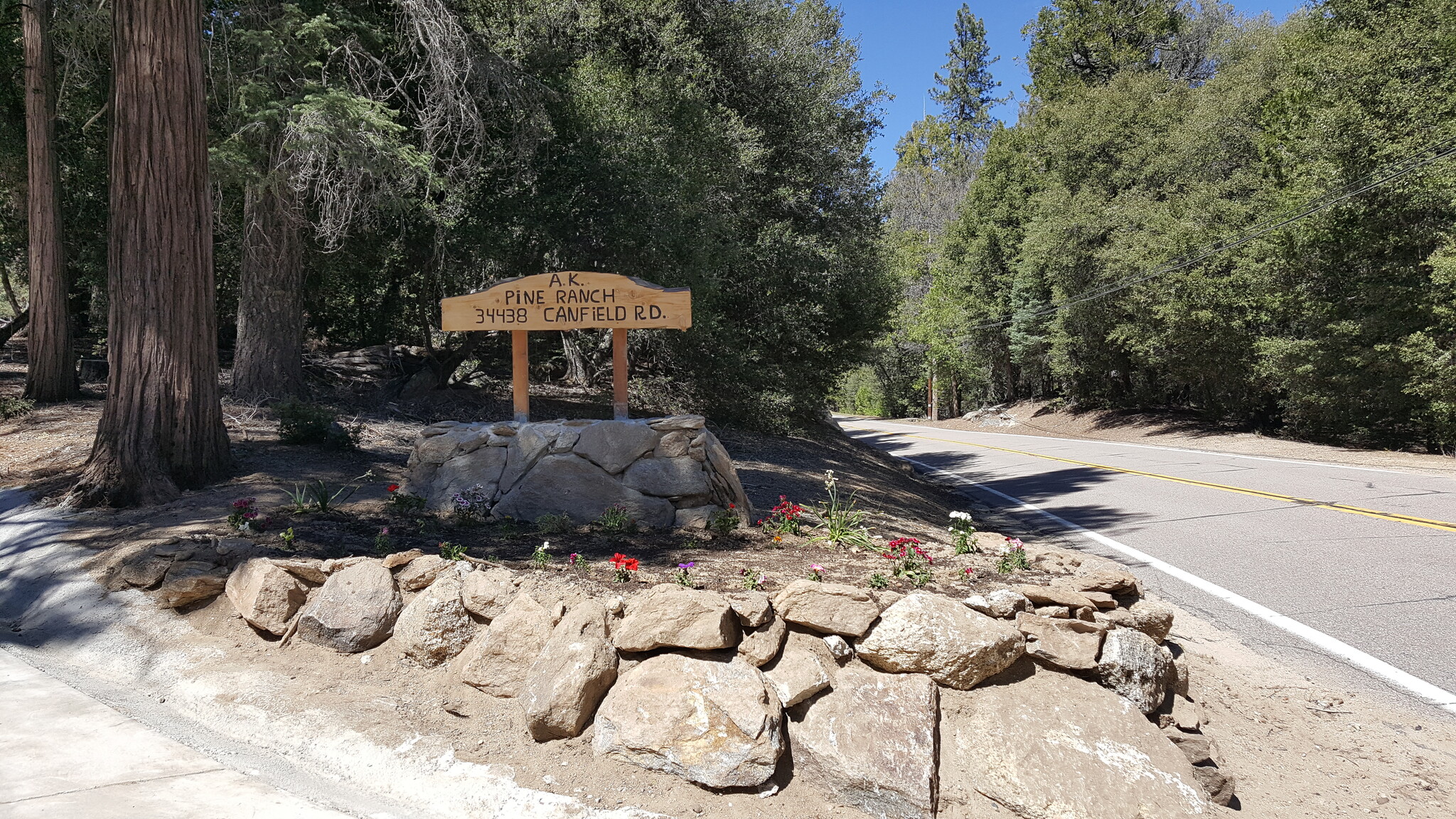 0 Canfield Rd, Palomar Mountain, CA for Sale