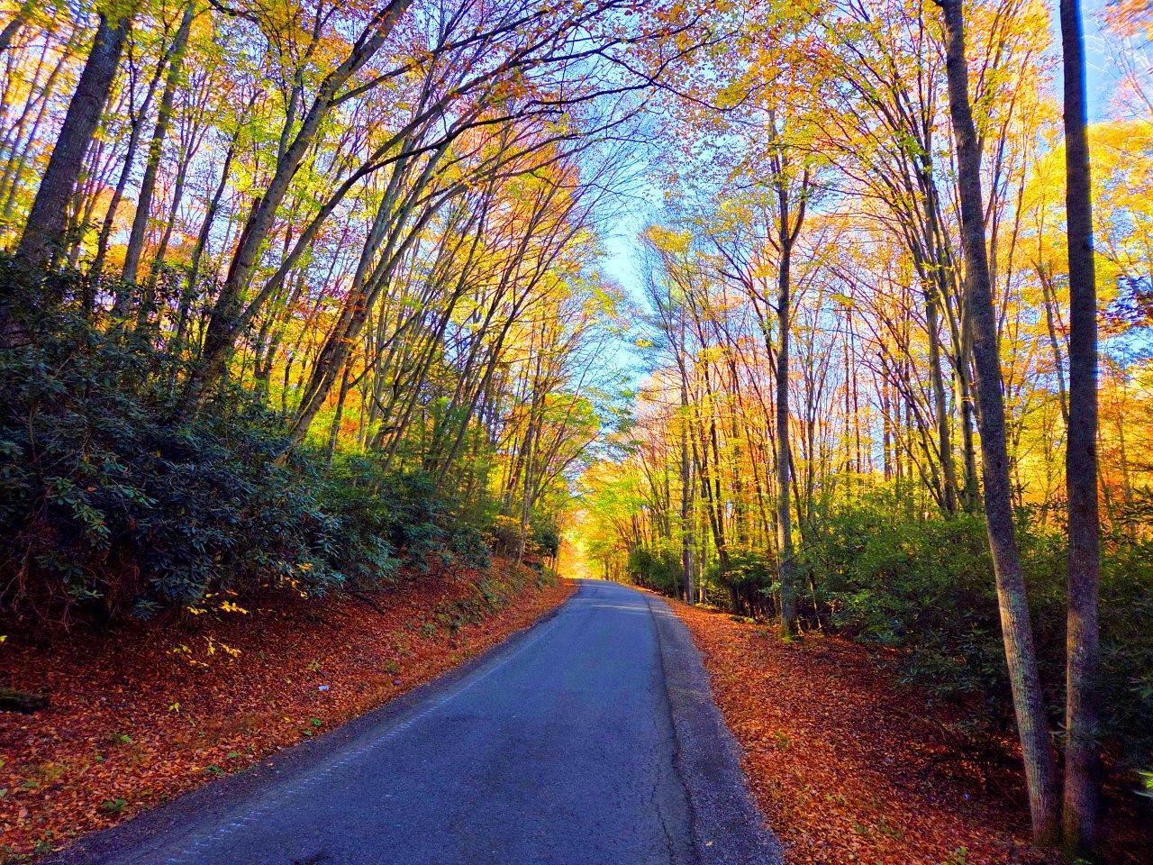 0 Old Pluto Rd, Shady Spring, WV for Sale