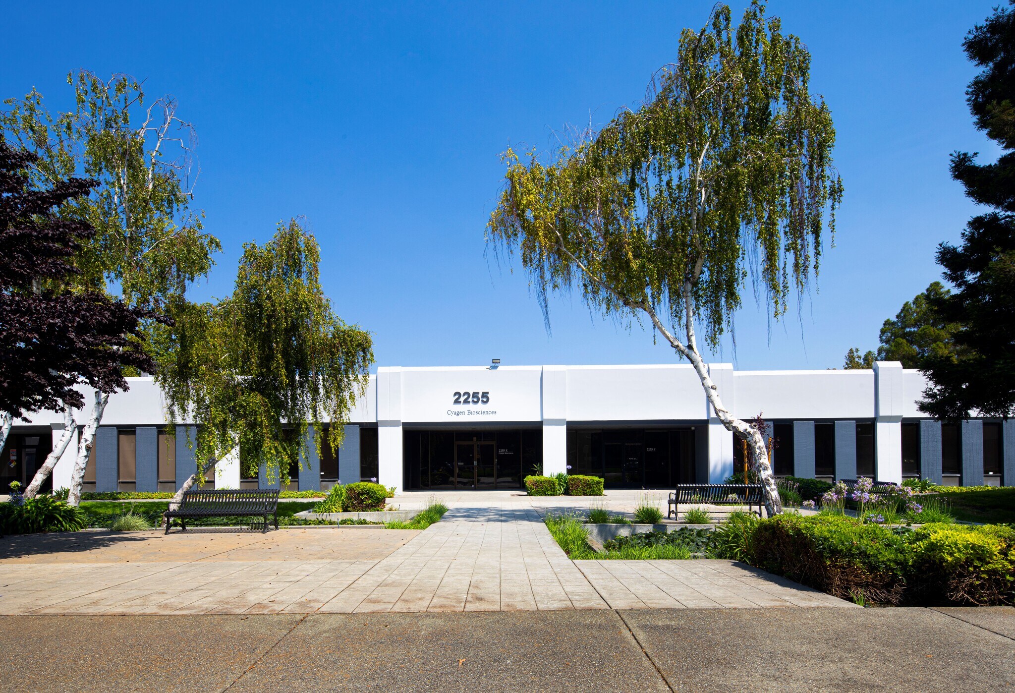 2225 Martin Ave, Santa Clara, CA for Rent
