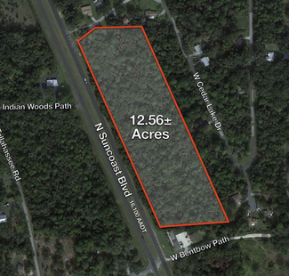 Crystal River, FL Commercial - 5551 Suncoast blvd