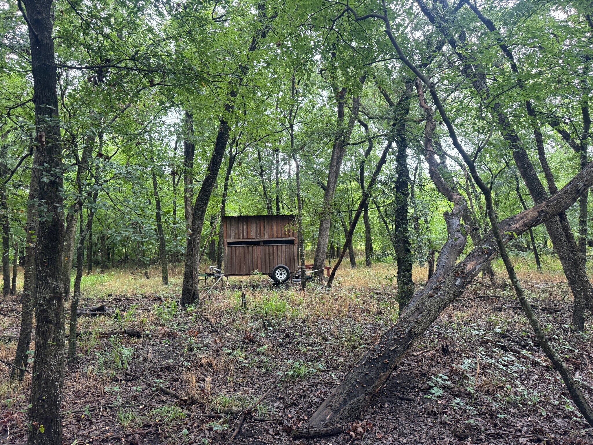 Highway 276, Quinlan, TX for Sale