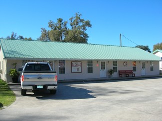 Welaka, FL Retail - 413 Elm St