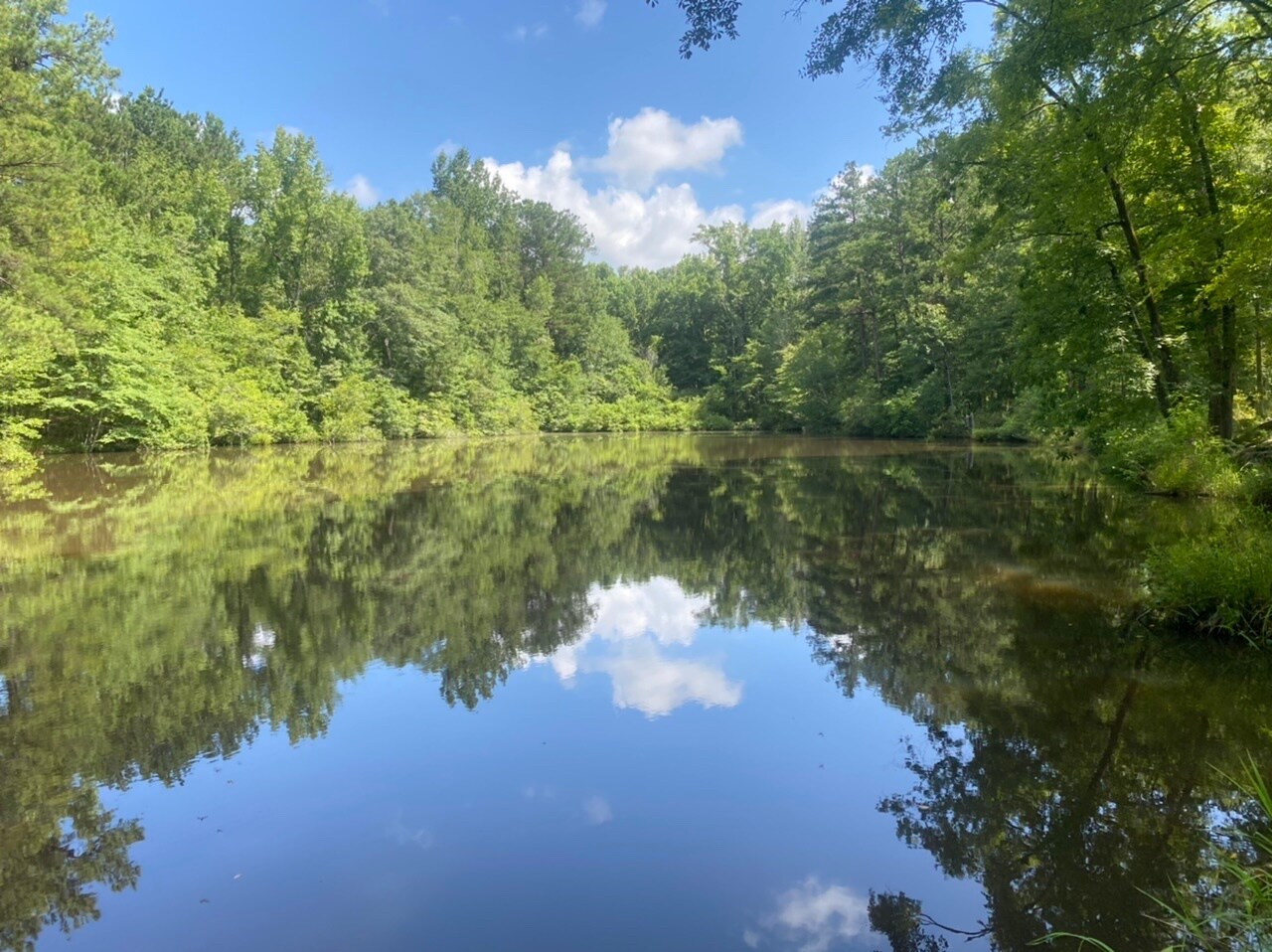 8877 Veterans Pkwy Columbus, GA 31909 Land Property for Sale on