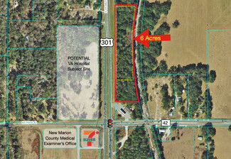 Summerfield, FL Commercial - 00 Hwy 301