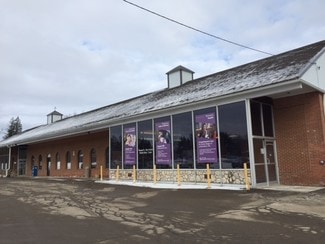 Springville, NY Office, Office/Medical, Retail - 27 Franklin St