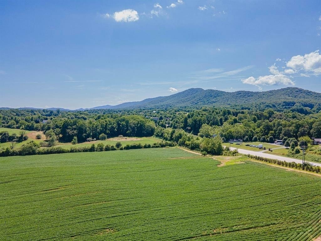 99999 Boylston Hwy, Mills River, NC for Sale