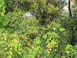 Maumelle, AR Commercial Land - 0 Club Manor