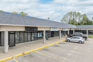 Fremont, MI Retail - 1015-1043 W Main St