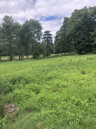 Newburgh, NY Industrial Land - 24 Jeanne Dr