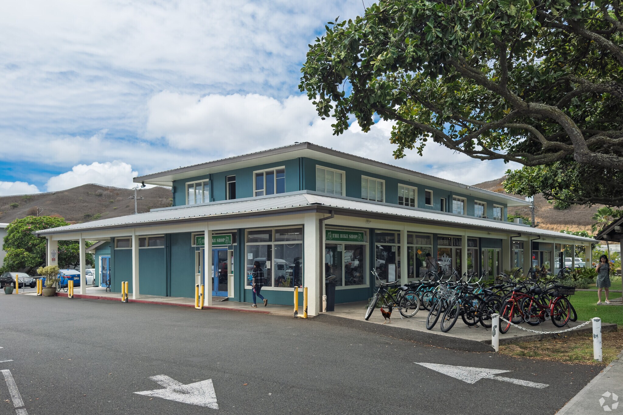 767 Kailua Rd, Kailua, HI for Rent