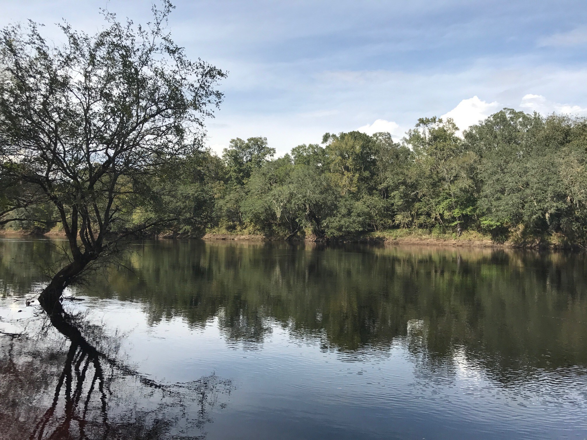 NW CR 250, Mayo, FL for Sale