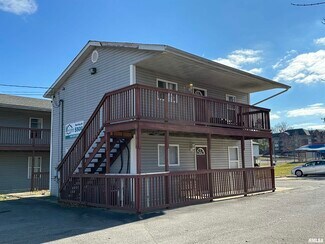 Carbondale, IL Retail - 317 E Mill St