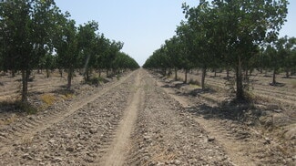 Pixley, CA Commercial - 9999 NE corner of Rd 104 & 104 Rd
