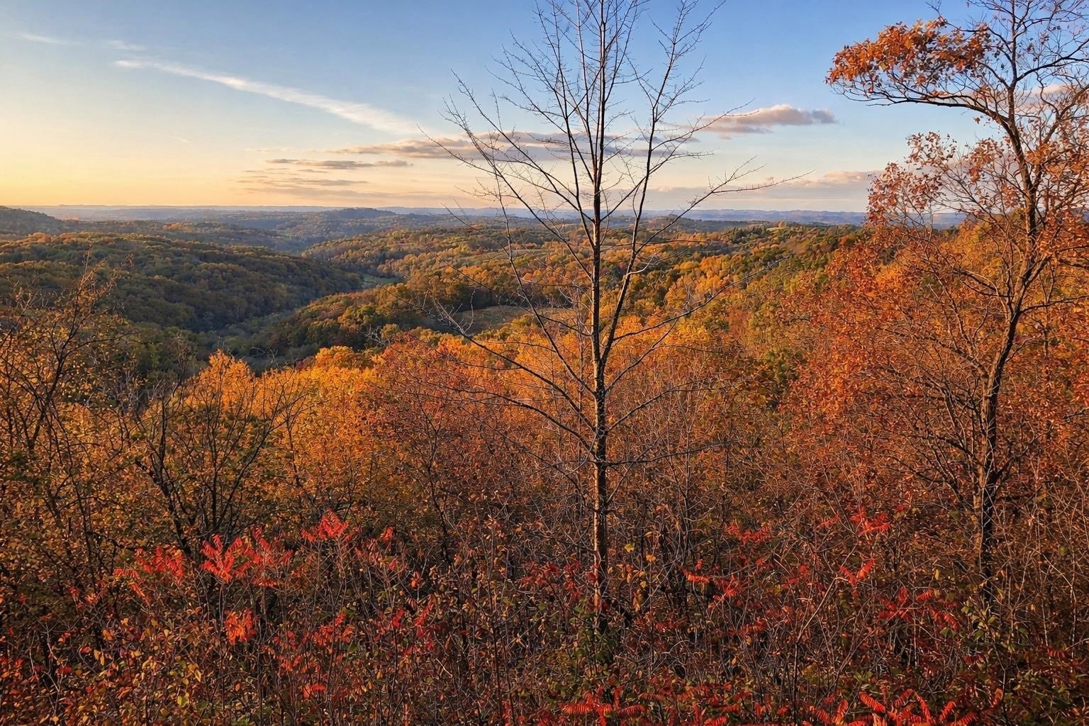 N7703 Wanlass Rd, Mindoro, WI for Sale