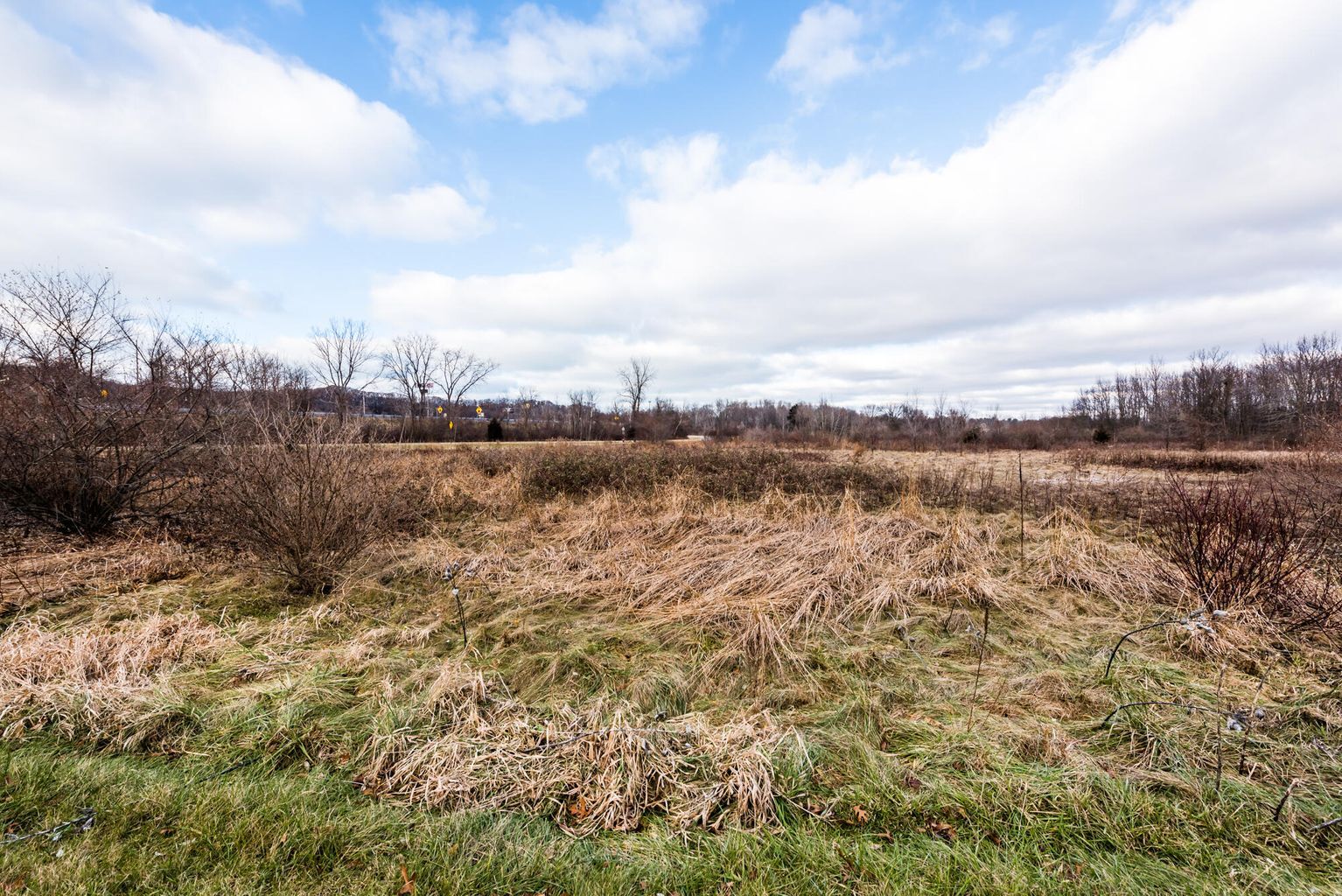 Parcel B Rambo Road, Bridgman, MI for Sale