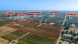 Selma, CA Residential - 9885 S McCall Ave
