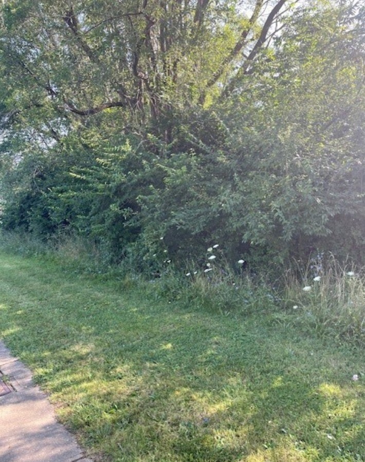 Brecksville Rd, Independence, OH for Sale
