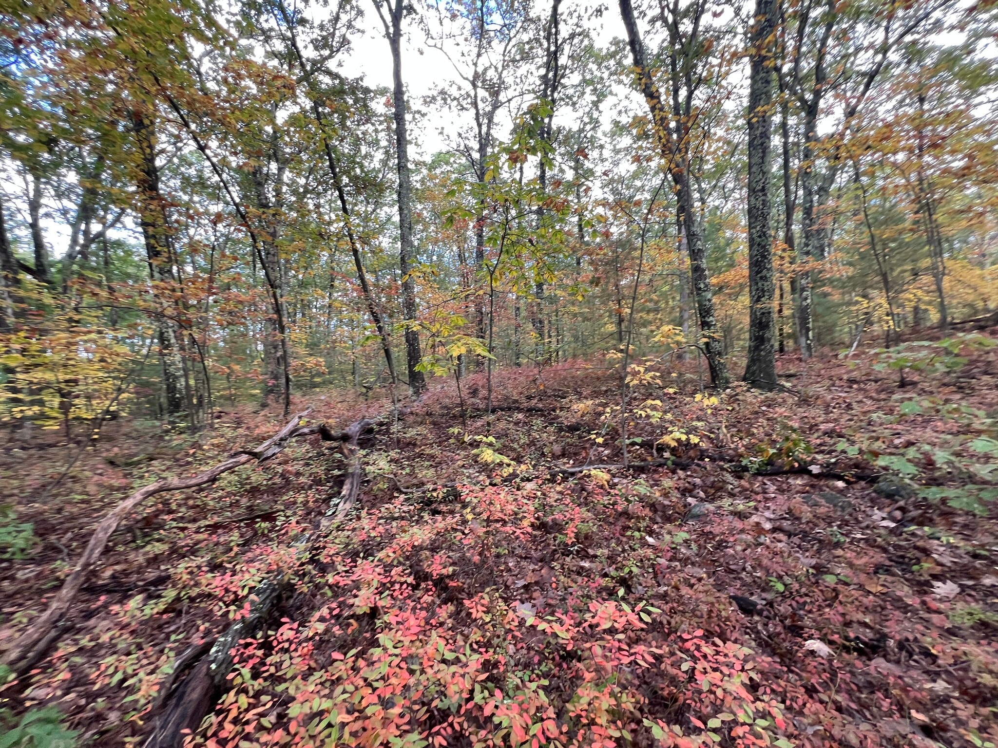 Mammoth Road, Hooksett, NH for Sale