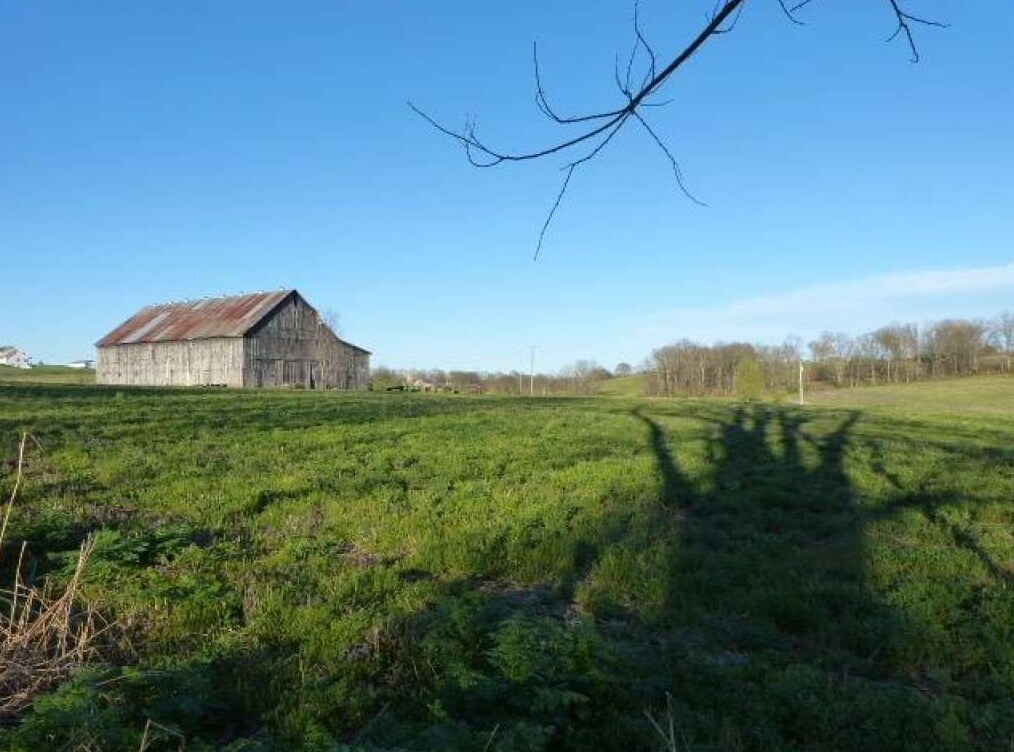 502 Steele Rd, Paris, KY for Sale