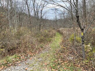 Natrona Heights, PA Agricultural Land - Burtner Rd