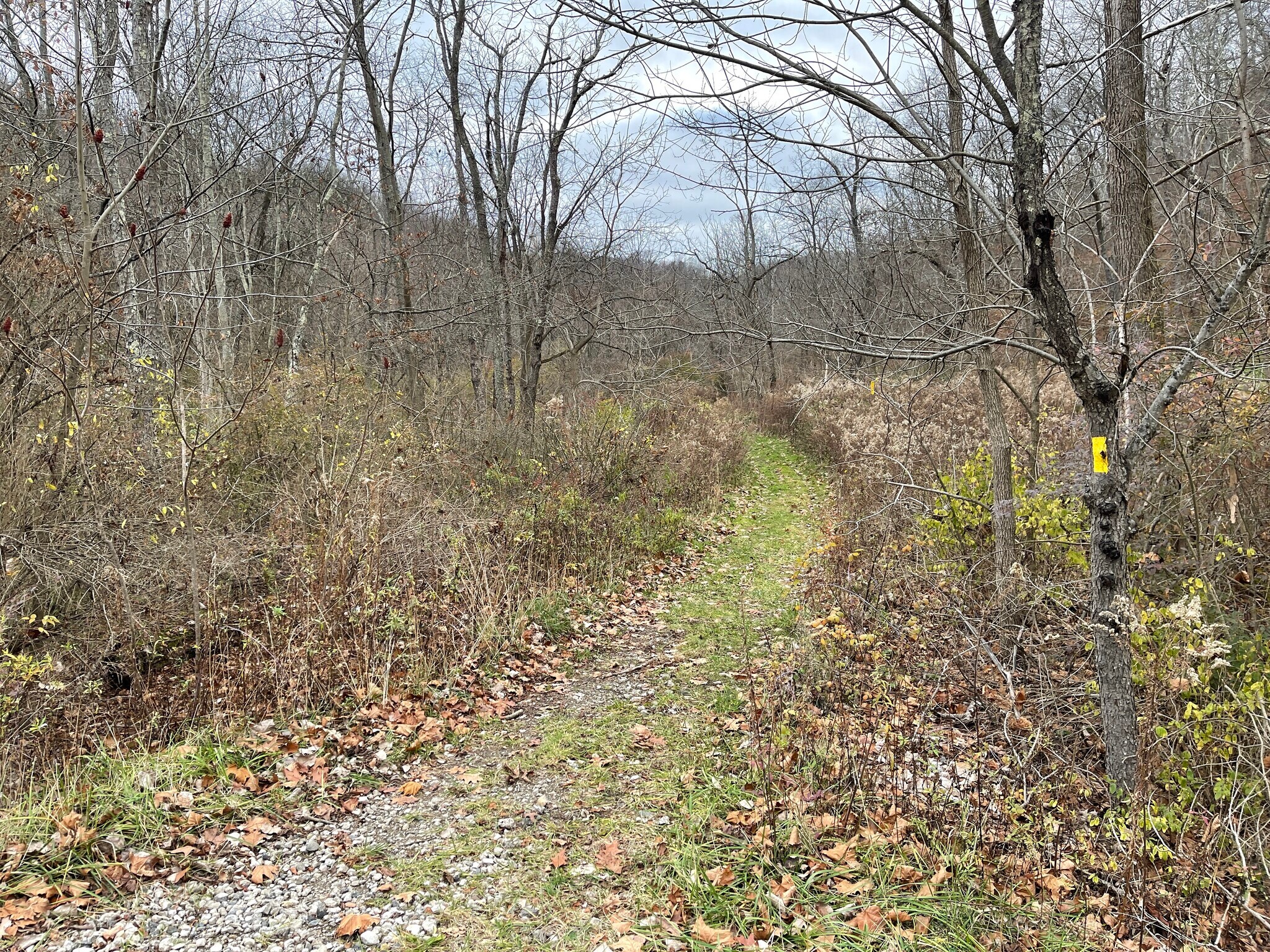 Burtner Rd, Natrona Heights, PA for Sale