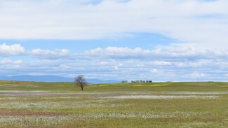 Artois, CA Agricultural - Road 33 @ Road D