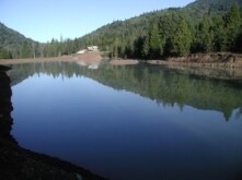 2999 Speaker Rd, Wolf Creek, OR for Sale