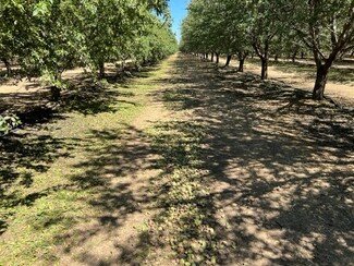 Woodland, CA Agricultural Land - 33033 CA-16