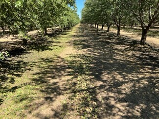 Woodland, CA Agricultural - 33033 CA-16