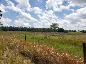 Dade City, FL Commercial Land - 31300 Blanton Rd Dade City, FL Commercial Land - 31300 Blanton Rd